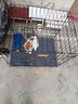 华美龙 狗笼子小型犬中型犬带厕所泰迪柯基比熊柴犬宠物狗窝室内狗围栏 【免安装】70*50*60（25斤内） 实拍图