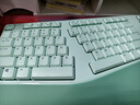山业人体工学键鼠套装 无线USB垂直竖握鼠标 104按键键盘 倾角支架 附软垫 办公游戏 牛油果绿 实拍图