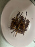 大希地安格斯牛肉串240g*3袋+羊肉串240g*2袋 腌制入味烧烤露营食材 实拍图