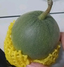 山东绿宝甜瓜 单果200g+ 新鲜脆甜 产地直发  京东快递 又快又好 5斤装 实拍图