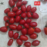 冰糖水果小番茄高山圣女果小西红柿早餐减肥减脂生鲜新鲜蔬菜 高山圣女果 2斤 净重 实拍图