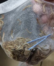KERRY面包虫活体饲料黄粉虫鸟鱼龟蜥蜴金龙鱼鬃狮蝎子守宫食物幼体幼虫 买1斤送1斤（发2斤）【70%选择】 实拍图