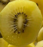 佳沛（zespri）新西兰  阳光金奇异果巨大果22粒原箱 单果重约144-175g 猕猴桃 实拍图