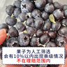 京鲜生 国产蓝莓 4盒 14mm+装125g/盒 生鲜水果 源头直发 包邮 实拍图