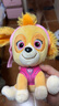 汪汪队立大功（PAW PATROL）汪汪队玩具毛绒全套狗狗玩偶公仔男女孩玩具旺旺队新年礼物 经典款-天天公仔【需选尺寸】 小号-坐高约15.2CM 实拍图