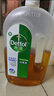 滴露（Dettol）消毒液消毒水1.2L衣物除菌液家居宠物环境地板杀菌除螨 非84酒精 实拍图