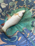 达亿瓦（DAIWA）一击 轻量鲤鱼鲫鱼草鱼罗非 进口鱼竿手杆 轻硬挺 休闲台钓 一击T 63.K（大物） 实拍图