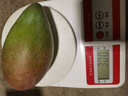 京喜加海南贵妃芒果 新鲜水果甜心芒果热带现摘红金龙芒果整箱水 贵妃两斤装100g+ 实拍图