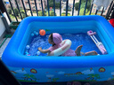 费林斯曼充气游泳池超大型成人小孩婴幼儿童游泳桶家用家庭室户外宝宝水池 加厚三环1.8米【180*130*60cm】 实拍图