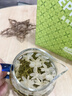 乐品乐茶茉莉飘雪茉莉花茶叶冷泡特级碧螺春2025新茶横县新茶春茶绿茶250g 实拍图
