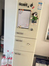 德姆勒（DEMULLER）复古冰箱小型大容量家用租房电冰箱 化妆品静音强劲网红冰箱冷藏冷冻节能 BCD-212芝士白【三温区】 实拍图