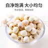 方家铺子中华老字号 大粒磨皮莲子500g 1斤 湘潭去芯白莲子百合桂圆银耳羹 实拍图