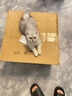 珑小宠猫爬架猫窝加粗大型猫树一体太空舱猫架子小户型不占地麻绳猫玩具 145cm 5层 【多窝款加厚板】 实拍图
