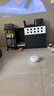霍曼（Homerun）宠物智能甜甜圈 猫玩具 猫咪陪伴玩具CT10 实拍图
