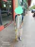 罗蒙汉服男童夏款唐装中大童古新中式儿童国风套装中秋演出服 浅绿140 实拍图