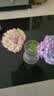 吕姆克花瓶玻璃家居桌面客厅装饰花器大口径鲜花水养插花瓶摆件5340 实拍图