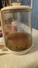 荣事达（Royalstar）养生壶 烧水壶电热水壶开水壶恒温壶玻璃花茶壶暖奶器24H保温1.8L家用办公室煮茶壶 YSH18L19A 实拍图