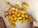 金煌芒新鲜水果 金煌芒果应当季生鲜 带箱2斤 中果【单果140-200g】 实拍图