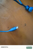 JBLTUNE310CType-C接口有线耳机 入耳式耳机 电脑耳机 适用于USB-c设备蓝色 实拍图
