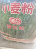天山 新疆面粉臻品雪花粉 家用包子馒头拉条子中筋通用小麦粉 50斤 实拍图