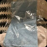 洁丽雅（Grace）新疆棉抗菌方巾4条装纯棉柔软宝宝儿童吸汗擦汗巾34*34cm35g 实拍图