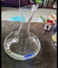 CLITON红酒醒酒器 玻璃快速葡萄酒醒酒器 家用倒酒器分酒器酒壶红酒瓶塞 实拍图