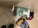 喜力啤酒330ml*15纤体听经典星银组合啤酒 整箱装 实拍图