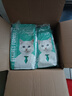 凯锐思天然猫粮成猫粮鱼肉蓝猫全价猫粮 【多猫囤货】 鱼肉味-40斤 实拍图
