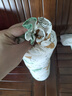 babycare婴儿安抚枕头宝宝多功能抱枕透气枕头6月-6岁-比奇角恐龙39*12cm 实拍图
