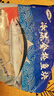 海渔链金枪鱼 蓝1鳍金枪鱼 刺身级生鱼片 金枪生鲜鱼 海鲜水产生鲜鱼类 精选金枪鱼净重500-550g 实拍图