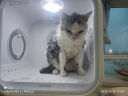 雪貂留香猫咪沐浴露宠物香波貂油系列升级款洗护一体全猫通用520mL 实拍图