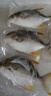 翔泰海南二去金鲳鱼700g/2条  去鳃去内脏 烧烤 生鲜鱼类  海鲜水产 实拍图