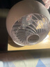 爱丽思（IRIS） 爱丽思空气循环扇风扇遥控电风扇落地扇家用电扇自动摇头空调扇iris PCF-SC15C(左右自动摇头)适用25㎡ 实拍图