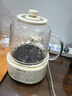 小熊（Bear）全玻璃壶体养生壶恒温壶 办公室多功能煮茶壶花茶壶 0金属养生杯 24h预约24h保温 1L YSH-P10Q7 实拍图