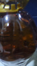 金龙鱼 食用油 非转基因 物理压榨玉米油6.18L（富含植物甾醇） 实拍图