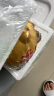 侑家良品存钱罐只进不出 金猪摆件 送孩子六一儿童节礼物 中号 实拍图