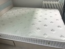 海马海木天然乳胶席梦思床垫独立弹簧3E环保椰棕家用床垫子软硬两用可定制 适中C款:加密弹簧+乳胶+3E棕 适中约23cm厚 1.5米*1.9米 实拍图
