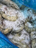 虾有虾途国产青岛大虾白虾青虾基围虾鲜虾冷冻生鲜虾类鲜活特大海捕整箱装 15-17厘米 3.6斤(净重) 实拍图
