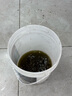 博世（BOSCH）有机长效汽车防冻液发动机冷却液 养车保养 冰点-45℃ 4L（绿色） 实拍图