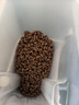 冠能狗粮小型犬幼犬狗粮2.5kg 全价狗粮 添加牛初乳  实拍图