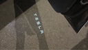 特斯拉（Tesla）官方 2020-2024 Model Y 迎宾灯 氛围车门灯装饰前门&后门 前门（一对） 实拍图