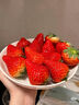 【产地直采】丹东红颜草莓大果500g 单果18g+ 实拍图