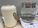 九阳（Joyoung）煮粥神器煮粥杯迷你1-2人便携式保温电炖杯电炖锅BB熬粥锅多功能锅炖盅婴儿辅食锅电热煮锅 GD106 实拍图