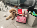 Orijen渴望狗粮 小型犬全期全价小颗粒鸡肉进口犬粮1.8kg效期25/12 实拍图