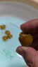 黄金螺淡水观赏螺活体清洁螺除藻清苔工具螺苹果螺不加温吃鱼龟便 大号黄金螺5只 2-2.5cm 晒单实拍图