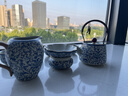 忆壶茶汝窑高端功夫茶具陶瓷西施壶泡茶杯茶壶盖碗礼盒套装父亲节送礼物 实拍图