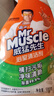 威猛先生（Mr Muscle）浴室清洁剂 500g+500g 气味清新 瓷砖清洁剂 除霉除菌 超市同款 实拍图