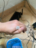 山泽 超五类网线水晶头 cat5e电脑千兆网络连接器 RJ45工程级8P8C超5类镀金水晶头 100个/盒 WL-5100 实拍图