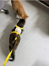 欢宠网猫咪牵引绳猫绳胸背带遛猫绳溜猫绳子背心宠物防挣脱逃脱背带链子 实拍图