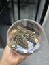 十月稻田 羊肚菌 30g（5-7cm）山珍菌菇干货 鸡汤煲汤火锅食材 实拍图